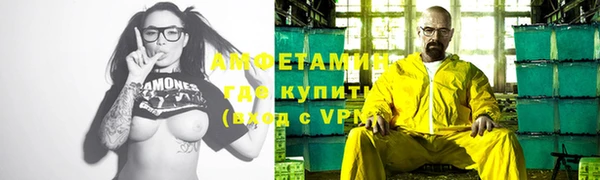 крисы Абаза