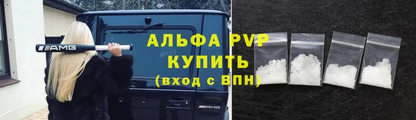 крисы Абаза