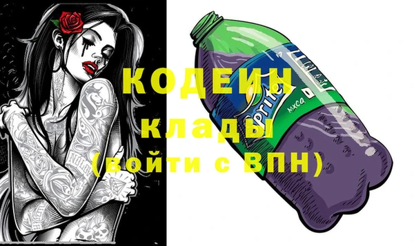 крисы Абаза