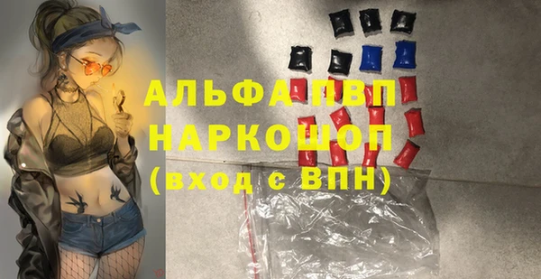 крисы Абаза