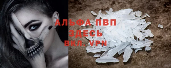 крисы Абаза